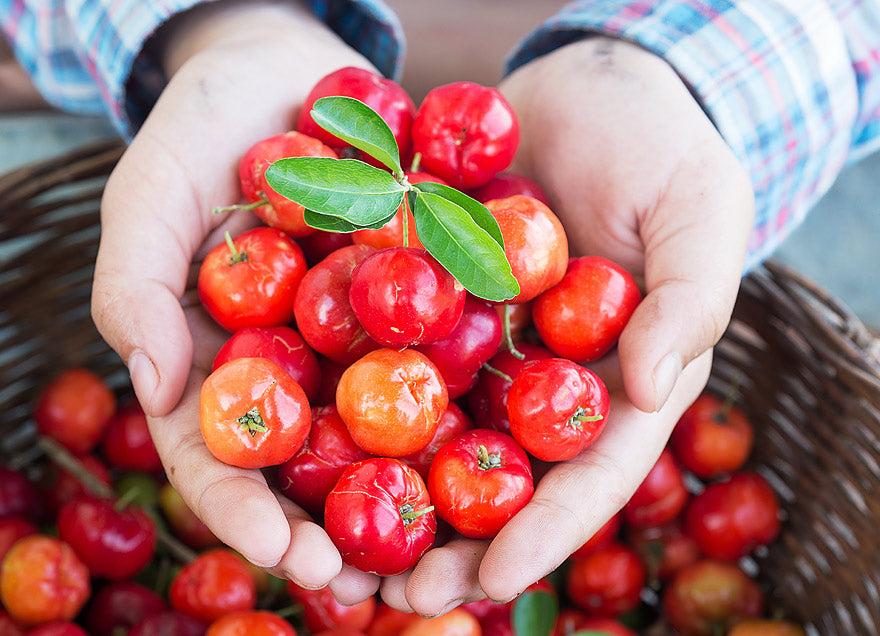 Amazing fruits #6 Acerola
