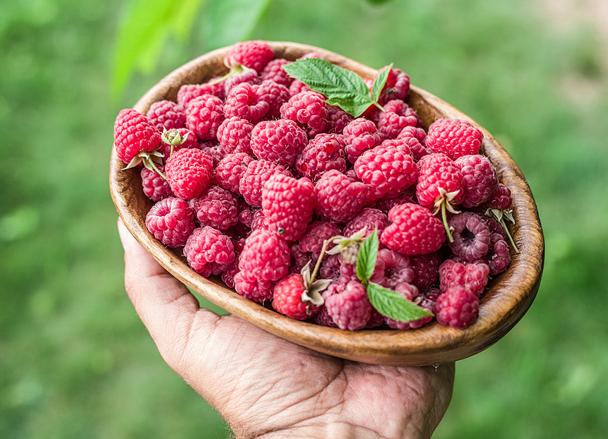 Amazing fruits #7 Raspberries