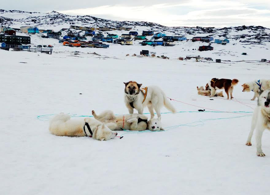 VANESSA FRANCOIS IN GREENLAND